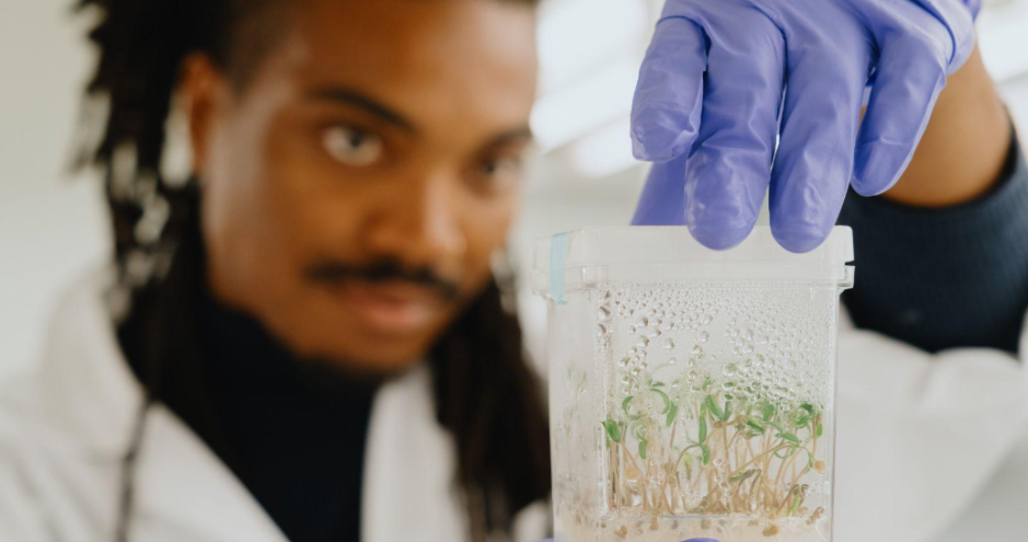 Plant clone - Genomines / HEC Paris