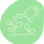 Regenerative providers networks