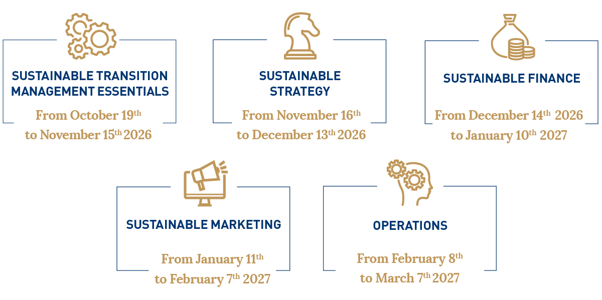 program structure