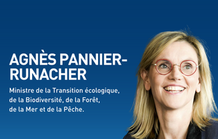 Économie et politiques de la transition écologique