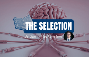 the selection book - en 