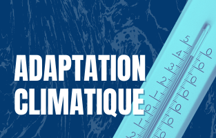 adaptation climatique