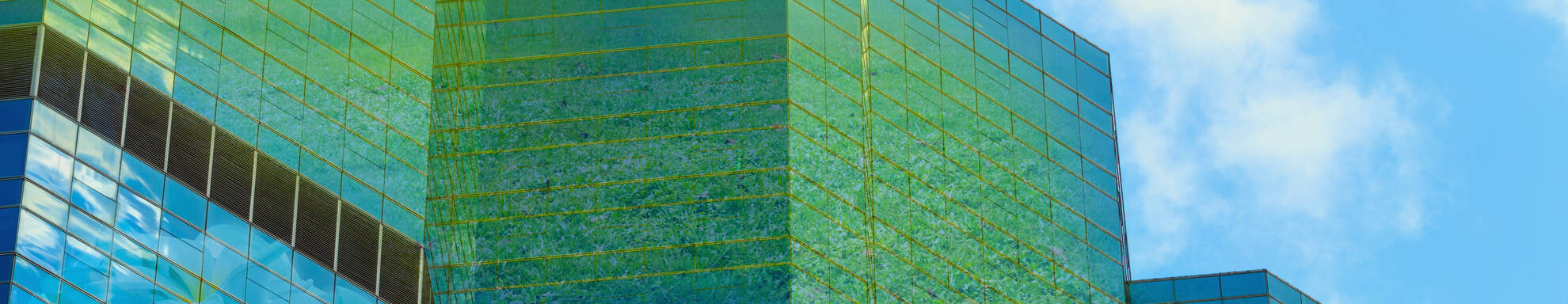 S&O - lead picture - sustainability transition