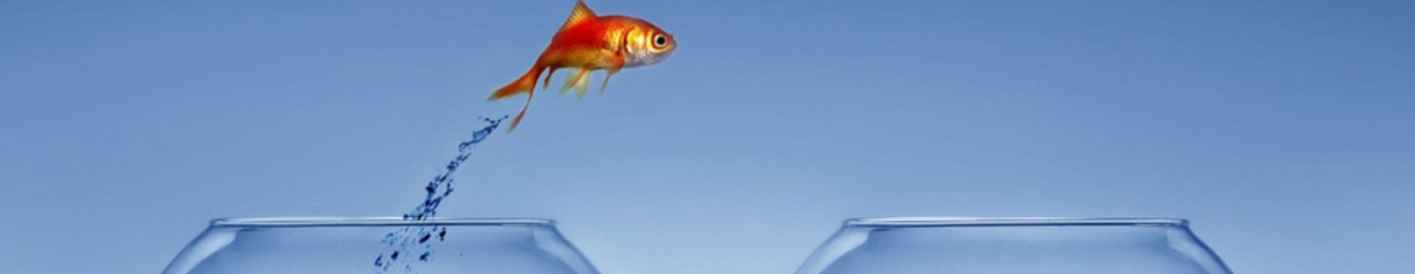 MOOC HEC Ticket for Change