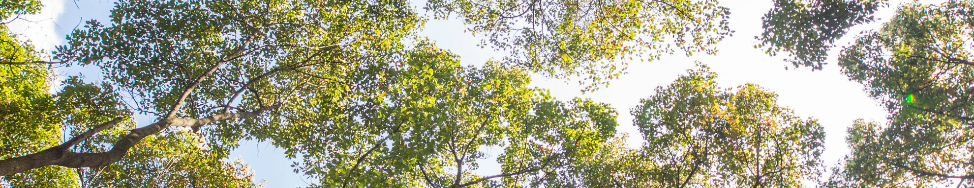 social impact assessment report ©adobestock-onlyyouqj