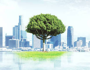 Finance4Good - low carbon economy