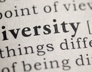 Diversity dictionary definition