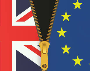 Three British expat professors working at HEC Paris react to Brexit vote