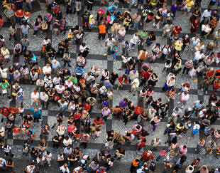 barometre s&o mars 2019 - adobestock©florin