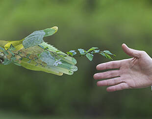 entrepreneuriat vignette