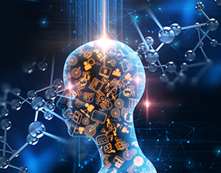 Number of the month- Vignette 