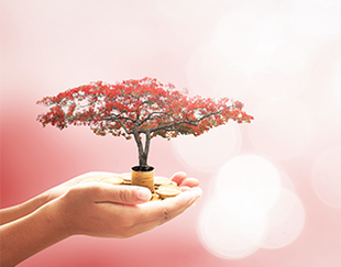 Prof Insights Vignette