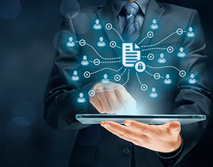 Business Focus- Vignette New Site