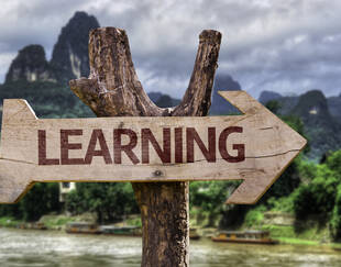 Learning - Azat article 