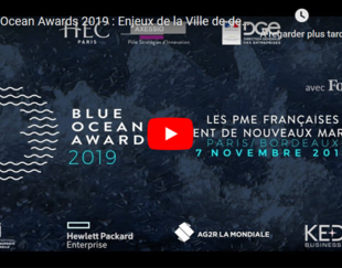 Blue Ocean Awards 2019 - Live YouTube