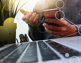 the emergence vignette