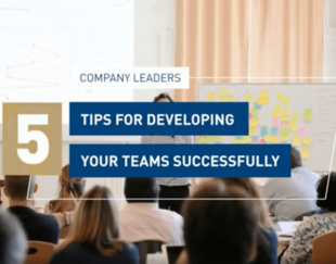 developing your teams