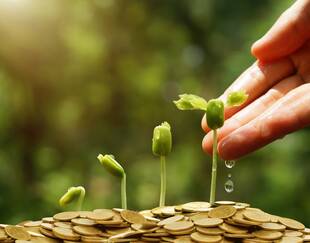 main qui arrose des plantes qui poussent dans des pièces de monnaie