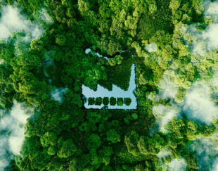 foret verdoyante avec un point d'eau au centre 